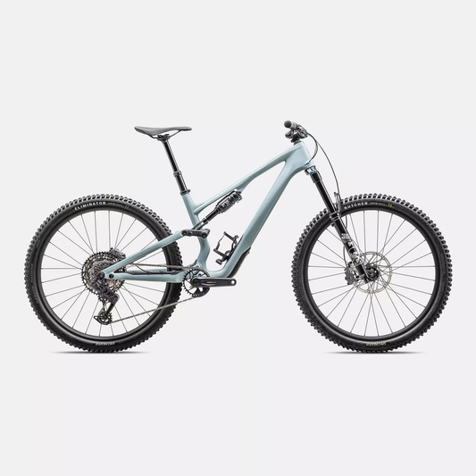 2025 Stumpjumper 15 Comp Alloy