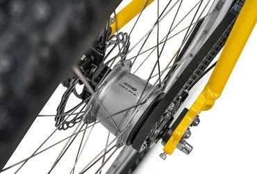 Katy Trail Bike Rentals