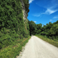 Shuttle Service on the Katy Trail